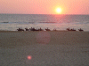 Captcha image 9897