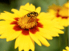 Captcha image 5797